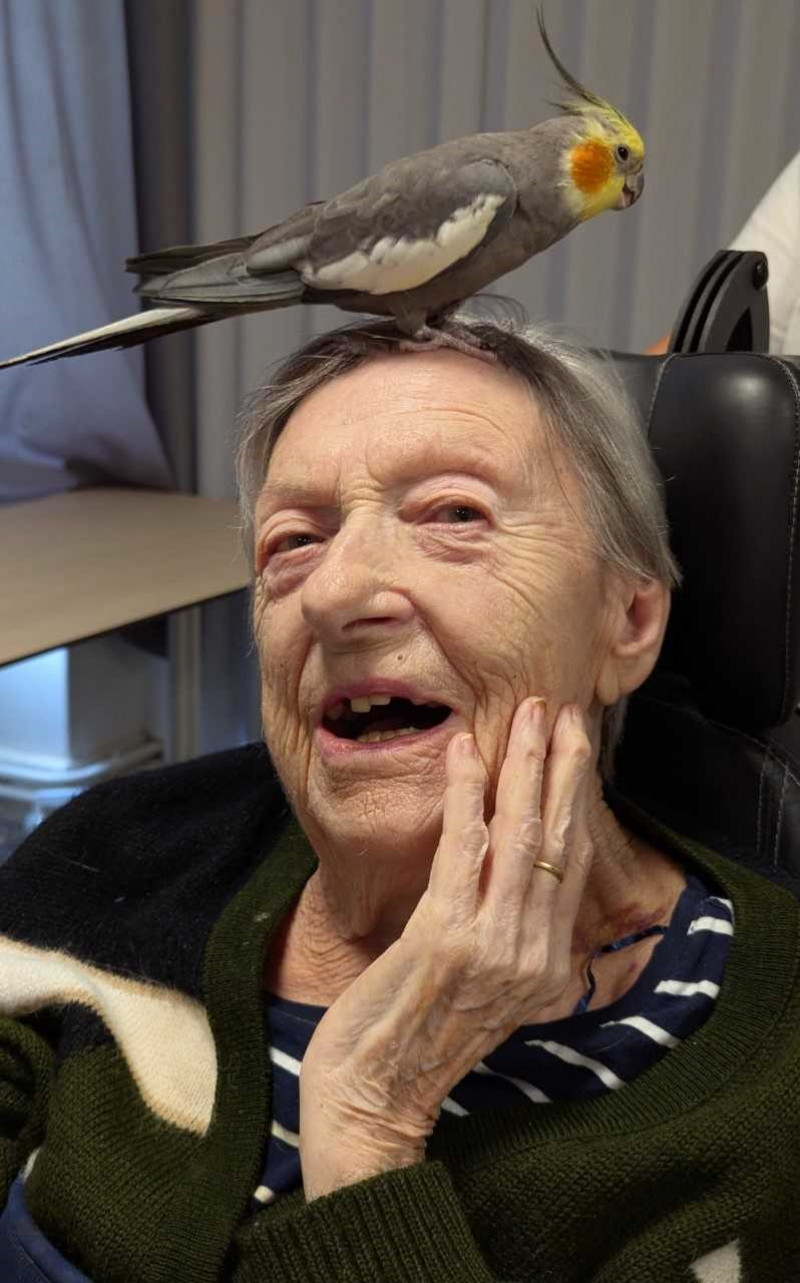 actualité EHPAD SEDNA