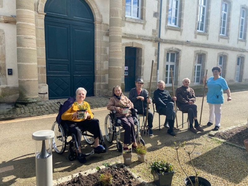 Plantation de plantes dans le parc