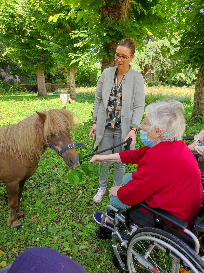 EQUITHERAPIE