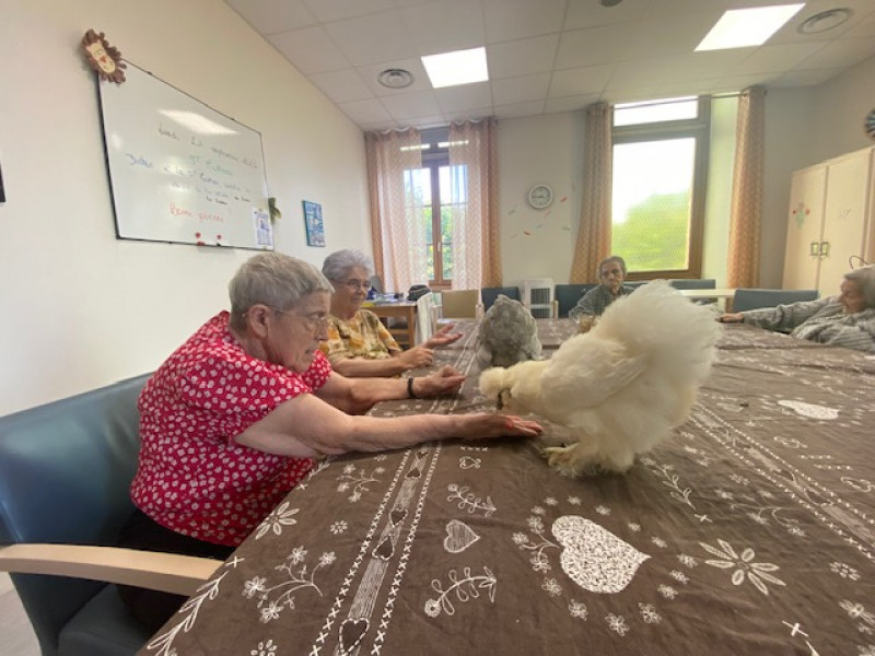 ZOOTHERAPIE