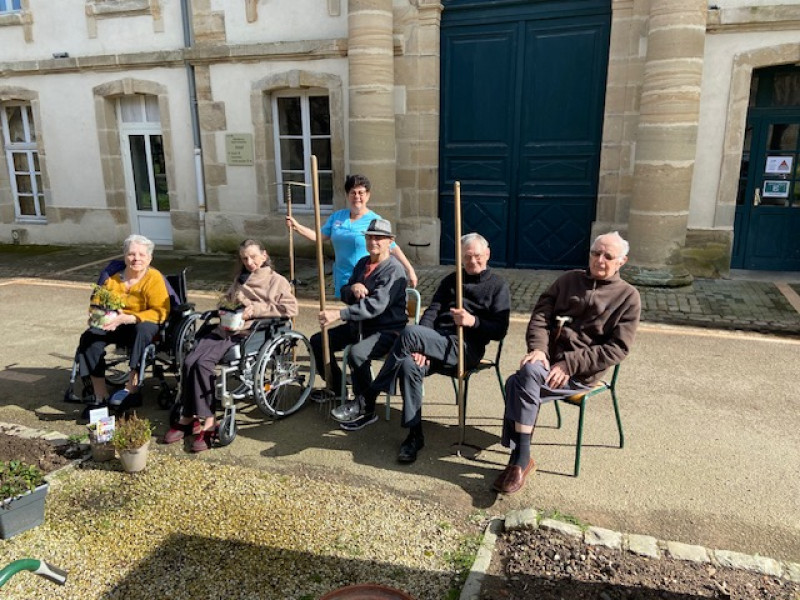 Plantation de plantes dans le parc