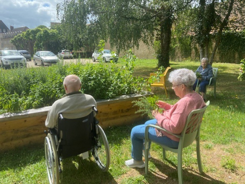 SORTIE DANS LE PARC