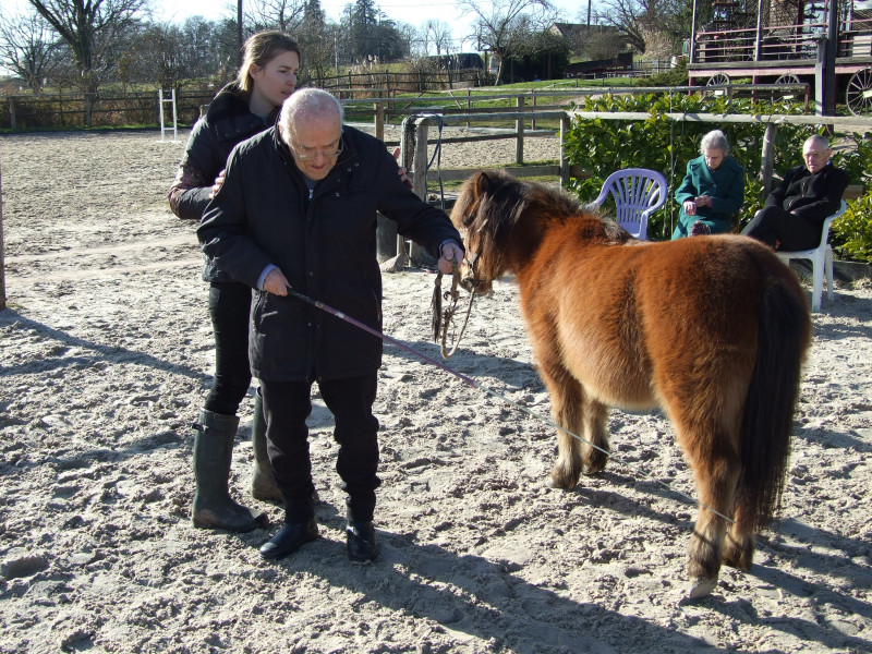 Suite EQUITHERAPIE