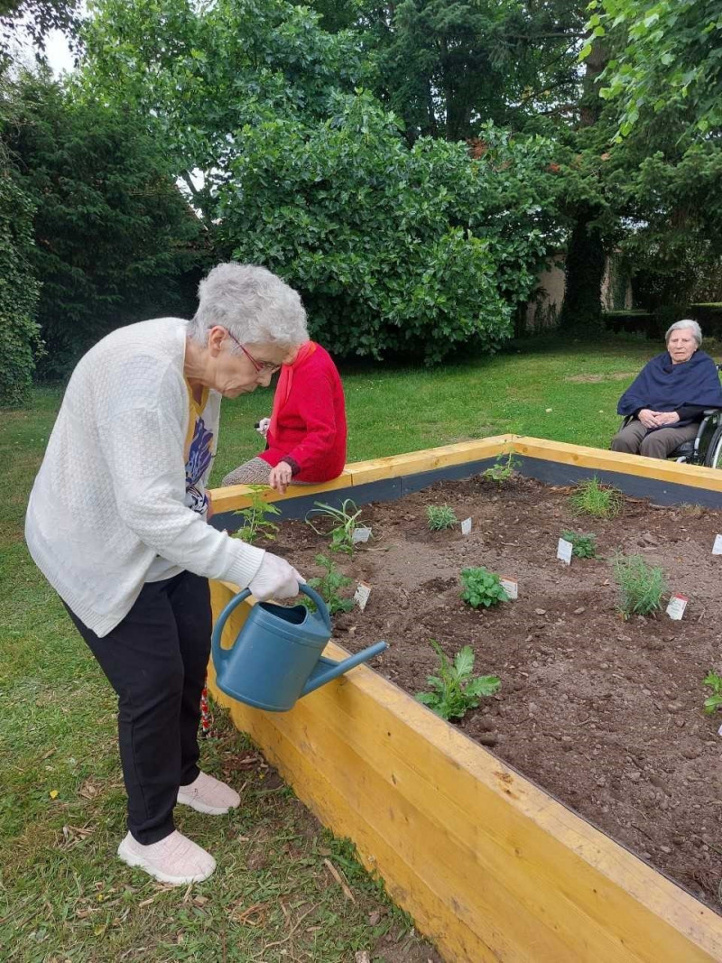 Plantation d’un Jardin Olfactif avec les Résidents