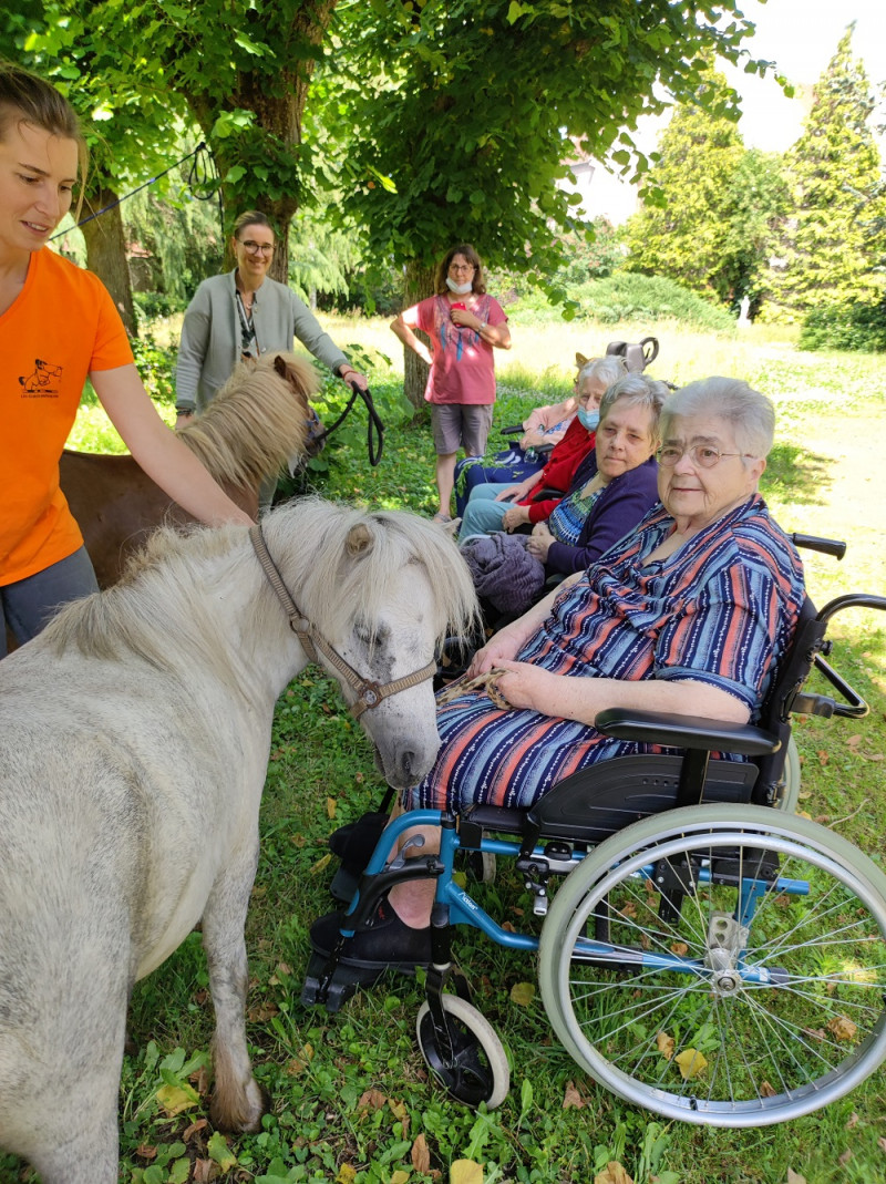 EQUITHERAPIE