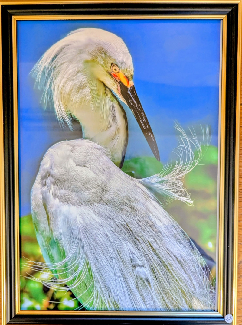 Exposition photos entre mer et océan