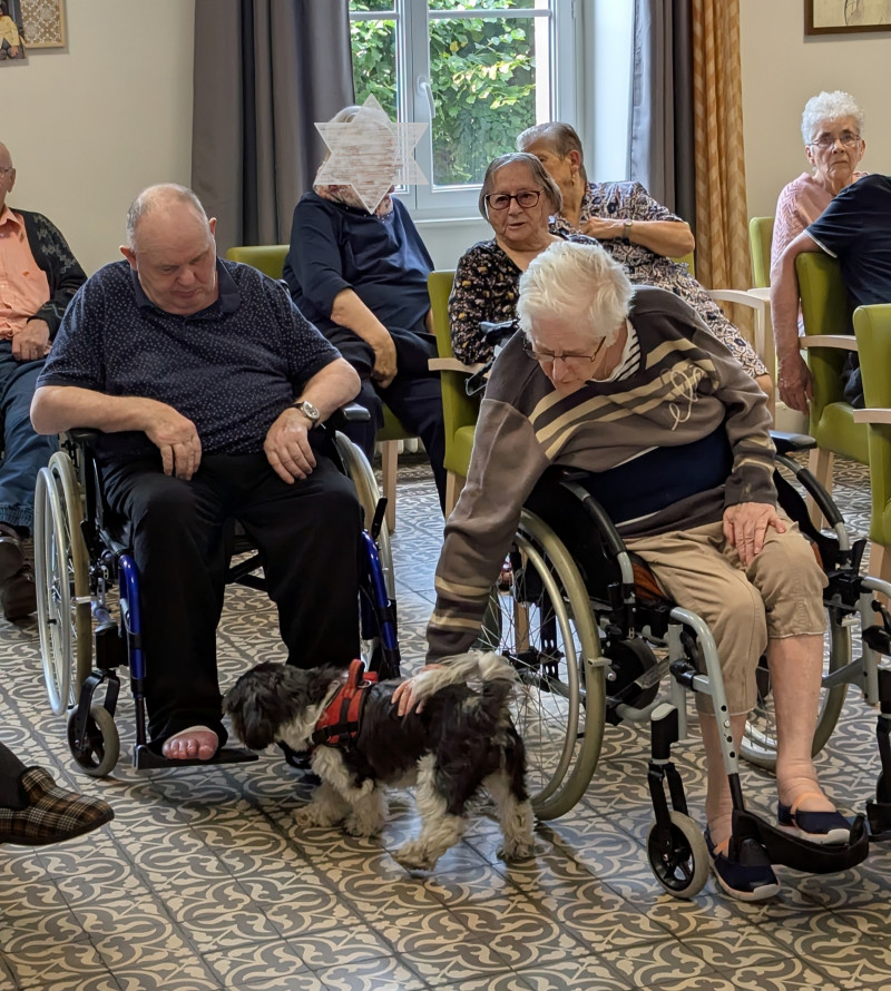 Un après-midi festif pour la journée du chien