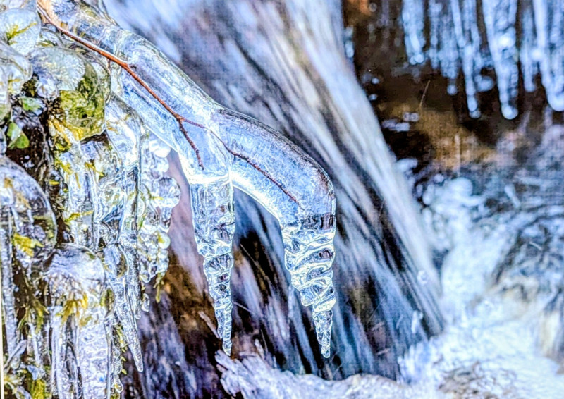 actualité EHPAD SEDNA