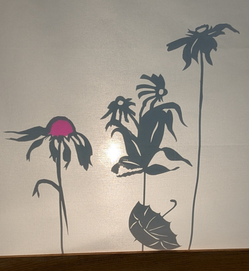 Théâtre d’Ombres