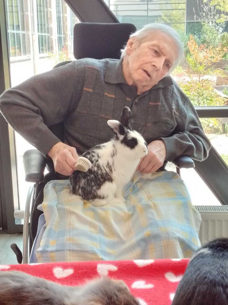 Médiation animale à l'UVP